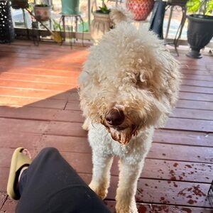 Meet your Posher, Jenifer itzel